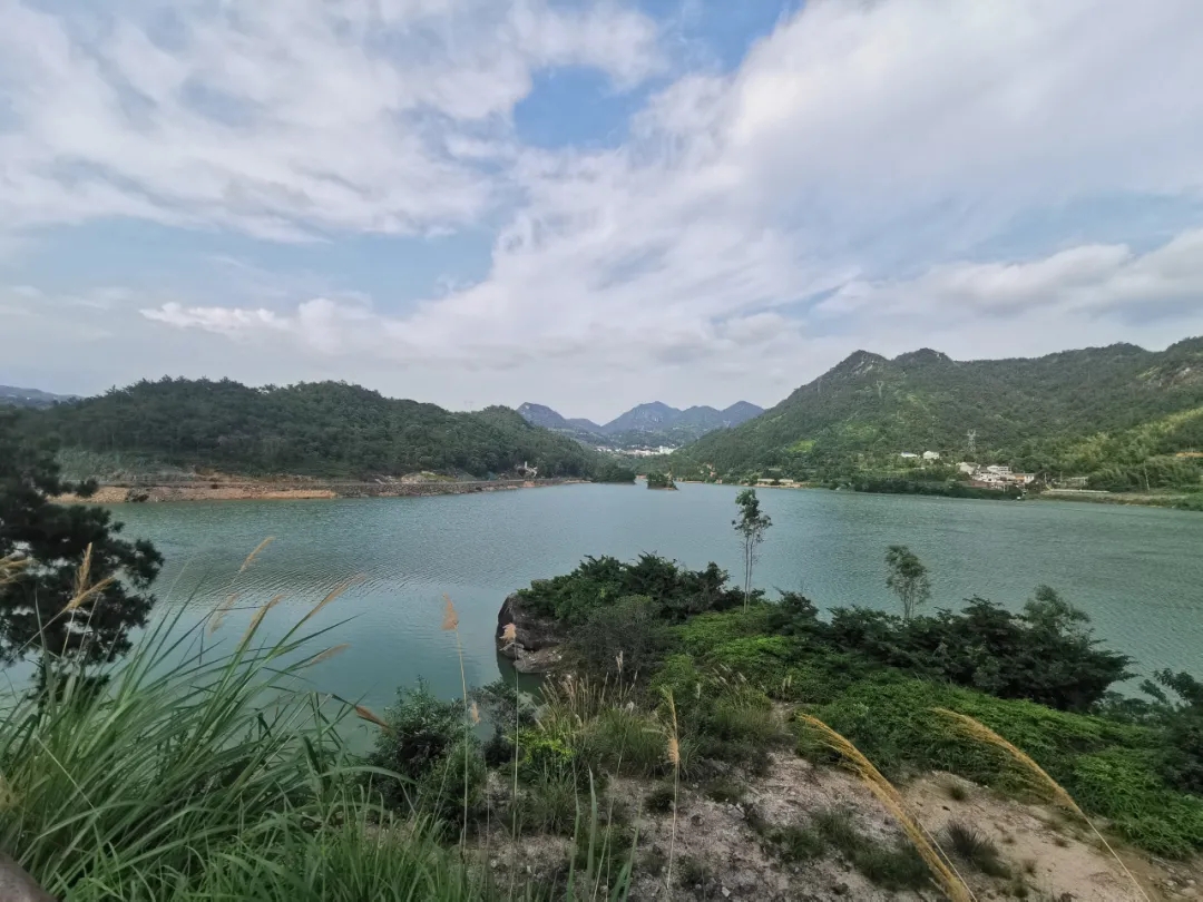 1628124774177349.jpg 4.webp.jpg