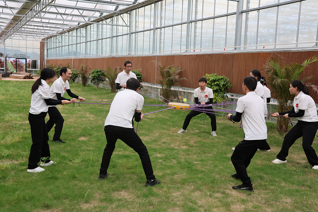 1714014071163459.jpg 10.jpg